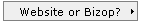 Website or Bizop?