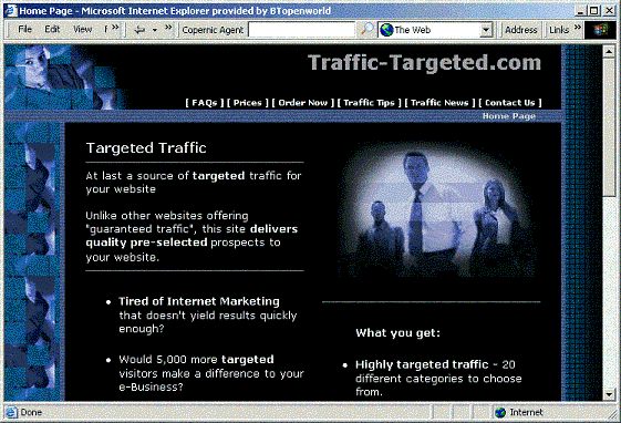 Targeted Traffic Website