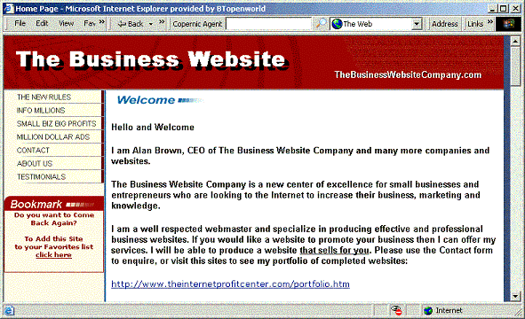 The Business Website